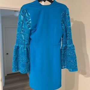 French Connection Garnet Velvet Lace Mini Dress